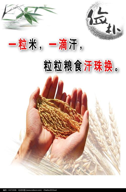 米德兰大学毕业证电子图